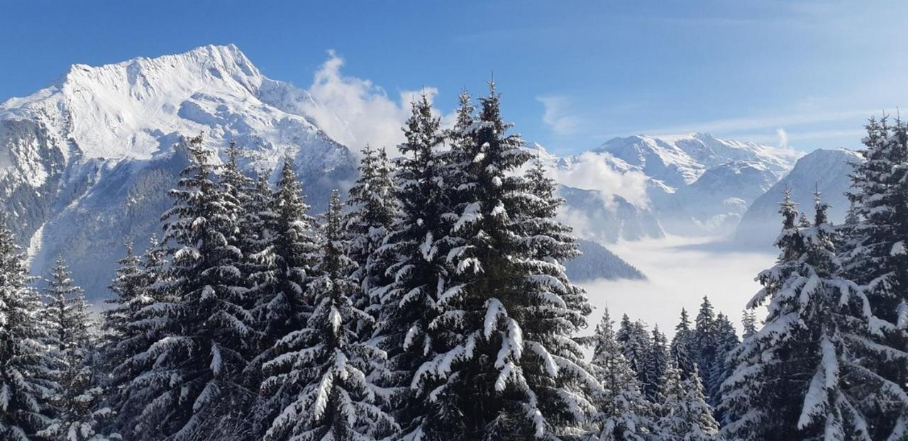 Les Glieres - Champagny-en-vanoise 3* La Plagne